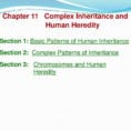Chapter 11 Complex Inheritance And  Ppt Download