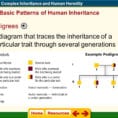 Chapter 11 Complex Inheritance And  Ppt Video Online Download