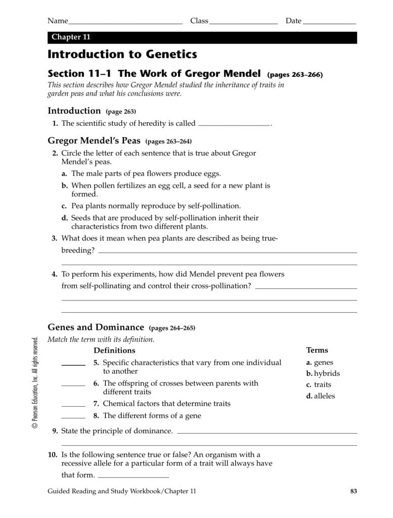 genetics-basics-worksheet-answers