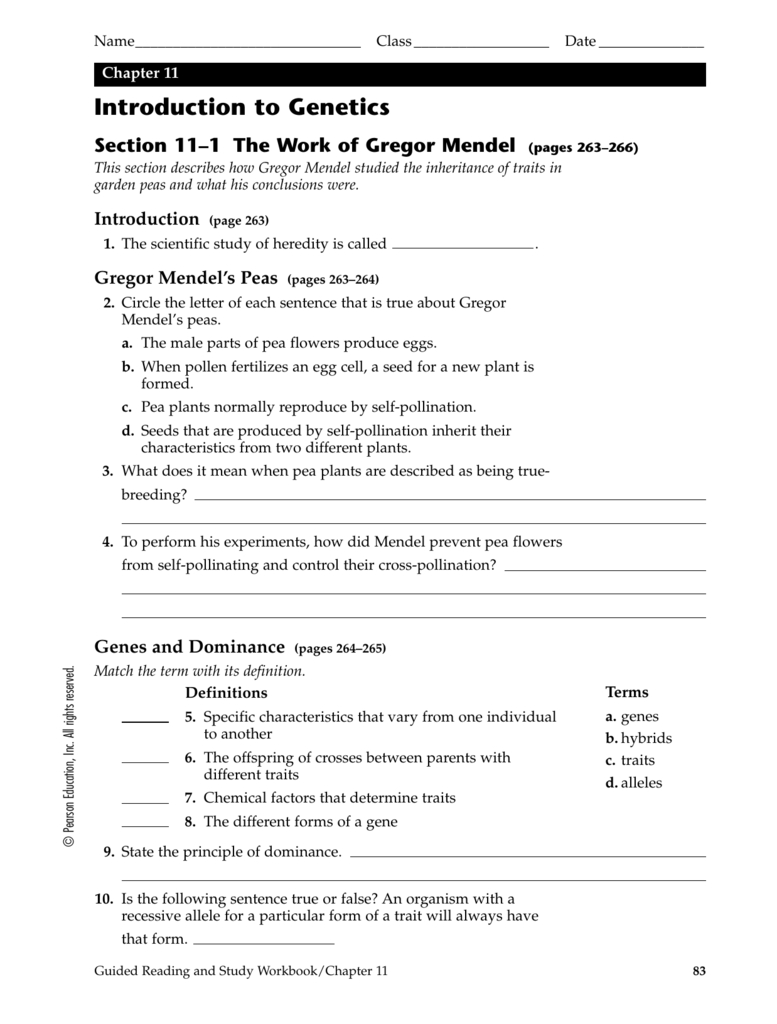Introduction To Genetics Vocabulary Worksheet Answer Key