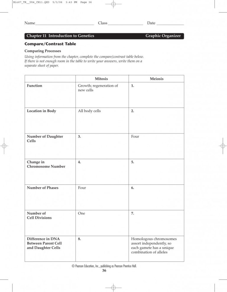 Chapter 11 Introduction To Genetics Worksheet Answers — db-excel.com
