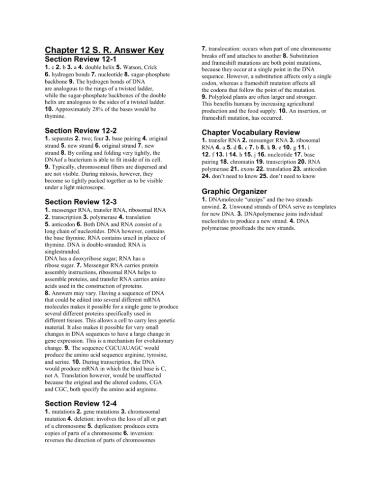 Chapter 12 Dna And Rna Worksheet Answers Resultinfos Section 124