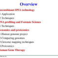 Chapter 12 Dna Technology  Ppt Download