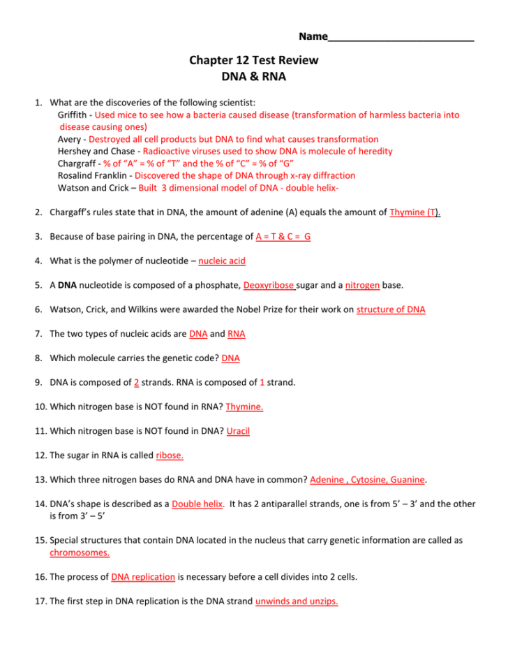 Dna Review Worksheet Answer Key