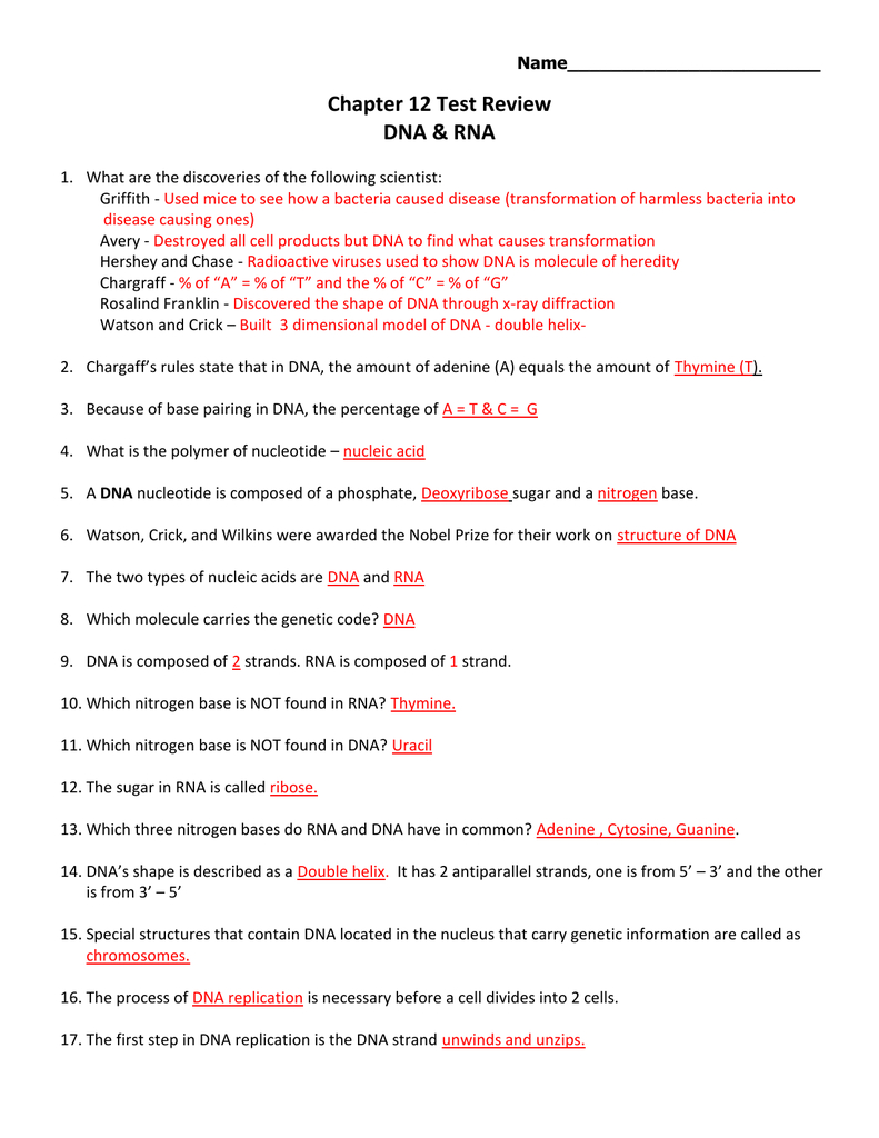 Dna Review Worksheet Answer Key Db excel