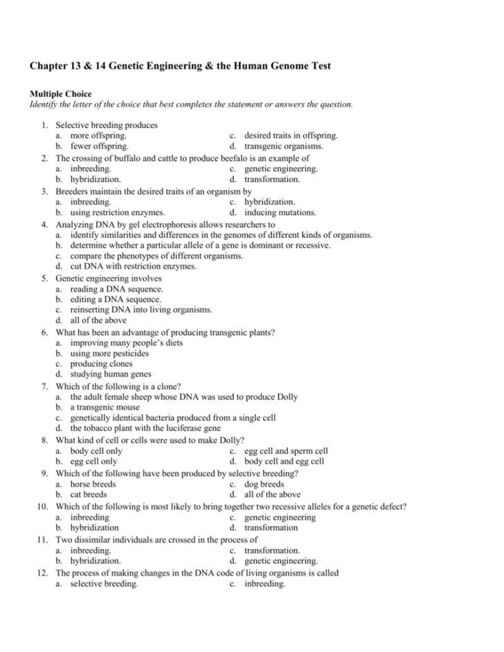 Genetics And Biotechnology Chapter 13 Worksheet Answers db excel com