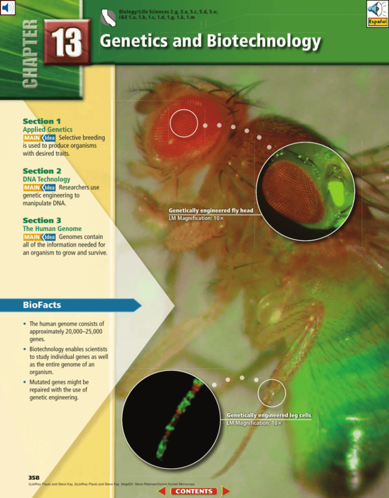 Chapter 13 Genetics And Biotechnology