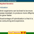 Chapter 13 Genetics And Biotechnology  Ppt Download