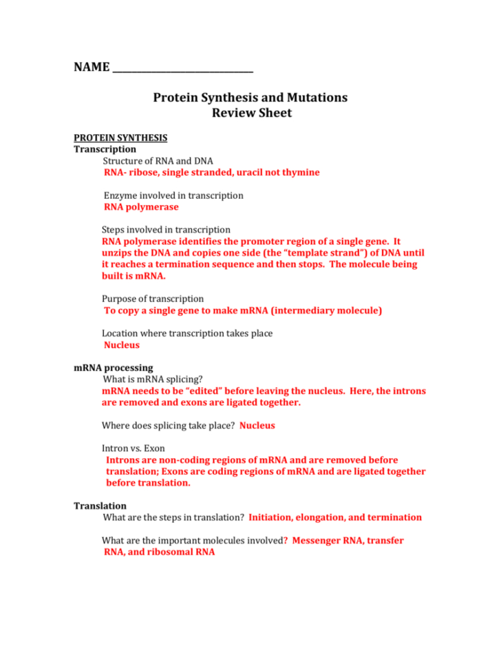 Dna Protein Synthesis Review Worksheet