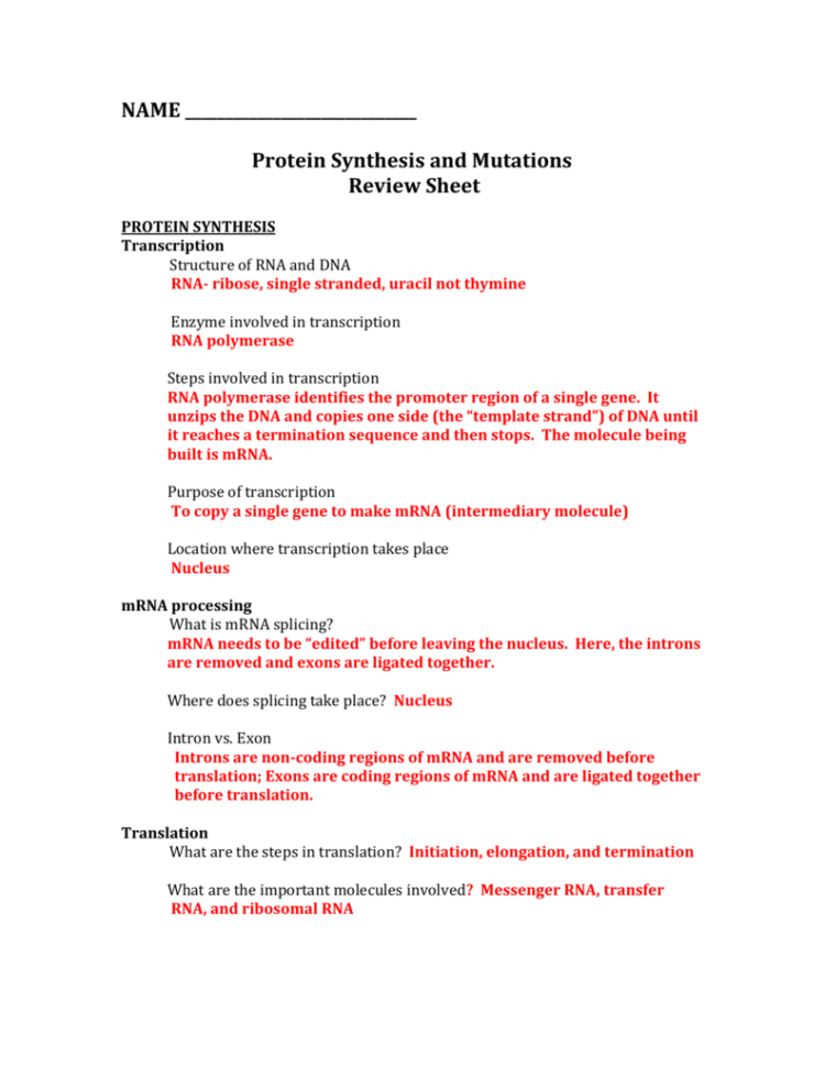 Chapter 13 Review Sheet