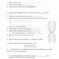 Chapter 14 The Human Genome Worksheet Answer Key