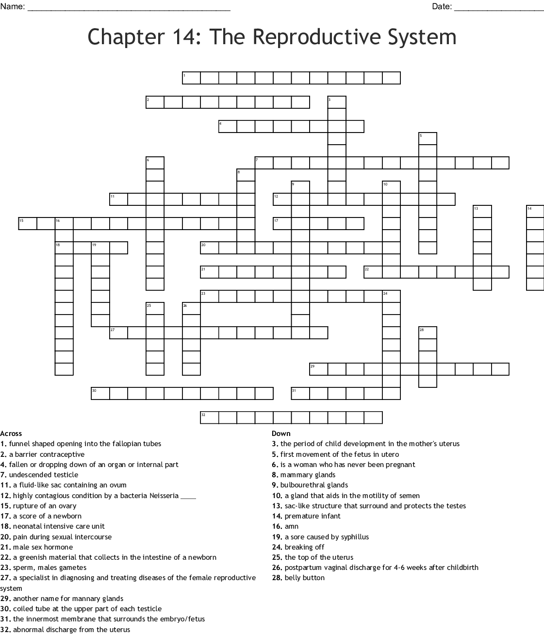 Chapter 14 The Human Genome Worksheet Answer Key — db ...