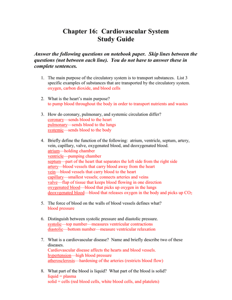 Chapter 16 Cardiovascular System