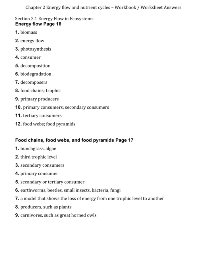 Energy Flow In Ecosystems Worksheet Answers
