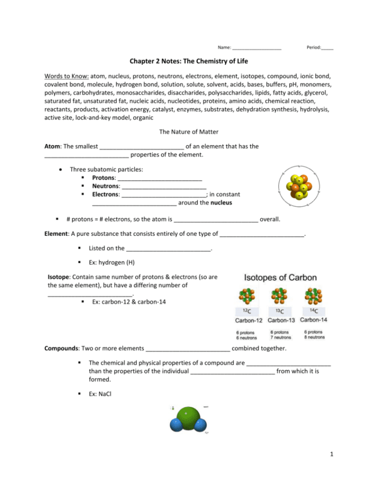 Chapter 2 Notes The Chemistry Of Life