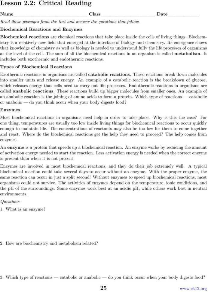 Chapter 2 The Chemistry Of Life Worksheets  Pdf