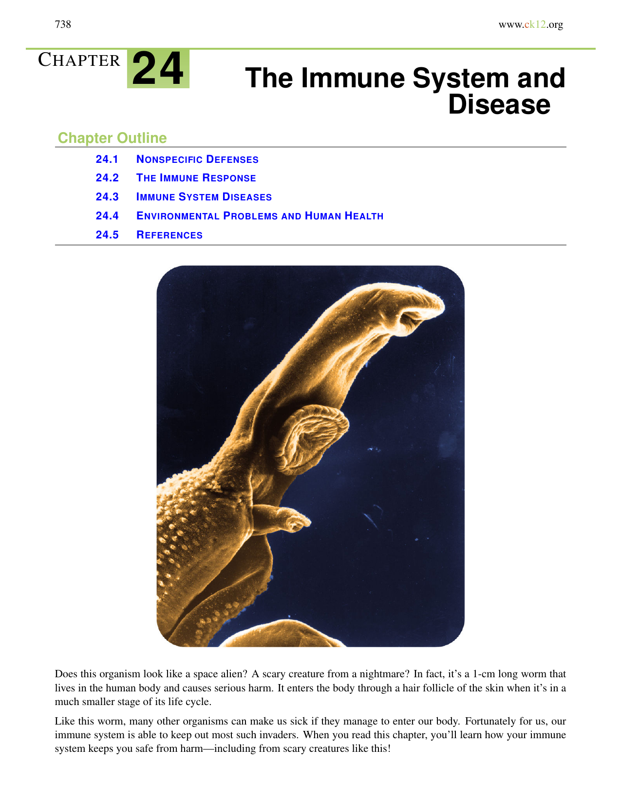 Chapter 24 The Immune System And Disease