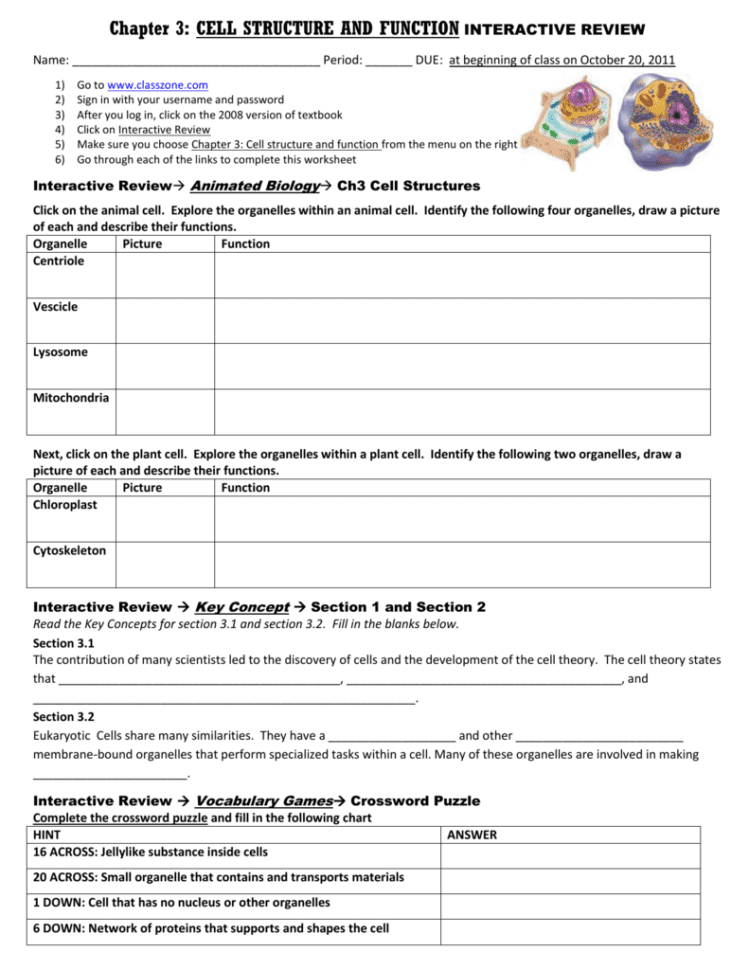 Chapter 3 Cell Structure And Function