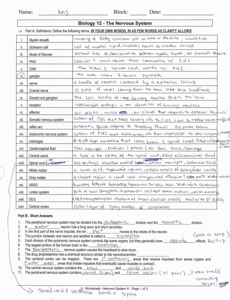 Chapter 3 The Constitution Worksheet Answers