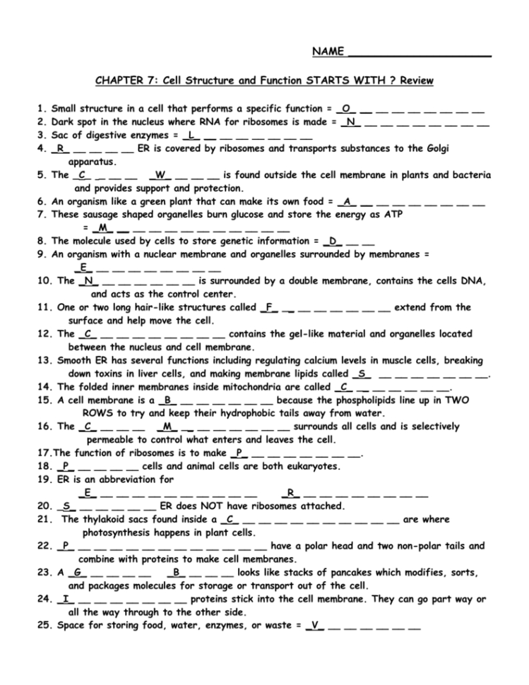 Chapter 4 Cell Structure And Function Review Crossword