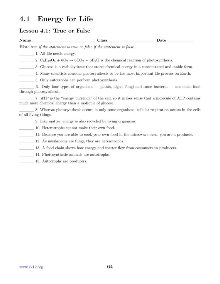 Chapter 4 Photosynthesis And Cellular Respiration Worksheets