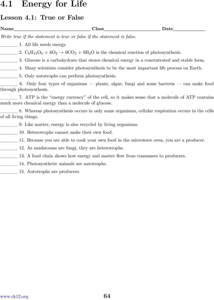 Chapter 4 Photosynthesis And Cellular Respiration Worksheets Pdf
