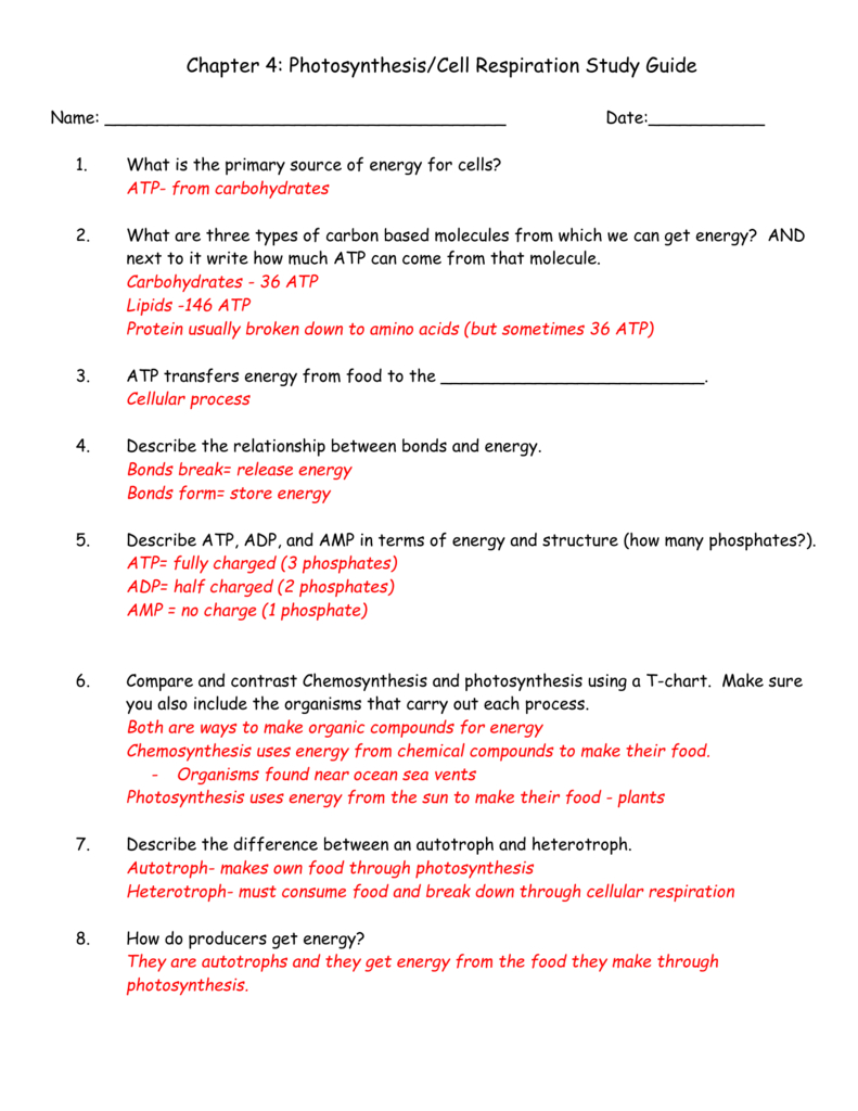 Chapter 4 Photosynthesiscell Respiration Study Guide Name
