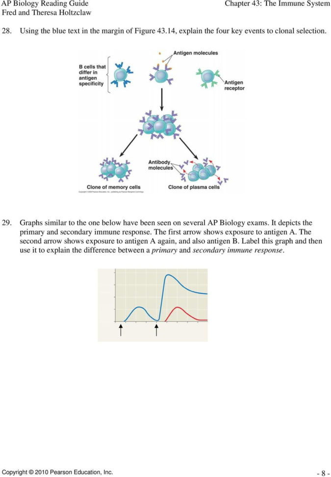 Chapter 43 The Immune System  Pdf