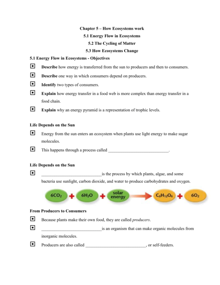 Chapter 5 – How Ecosystems Work 51 Energy Flow In Ecosystems