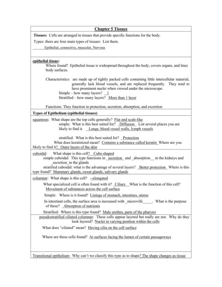 Epithelial Tissue Coloring Worksheet