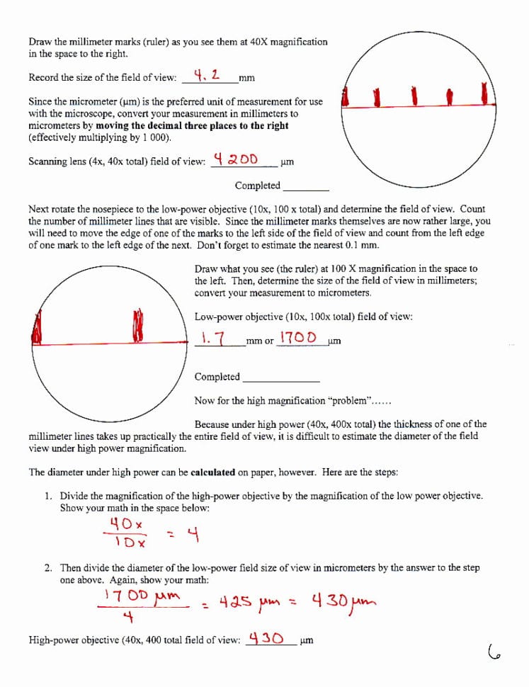 Chapter 6 Humans In The Biosphere Worksheet Answers  Yooob