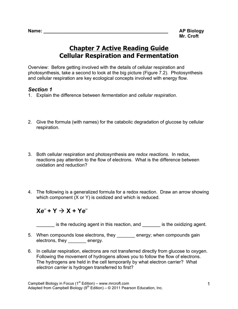 Chapter 7 Active Reading Guide