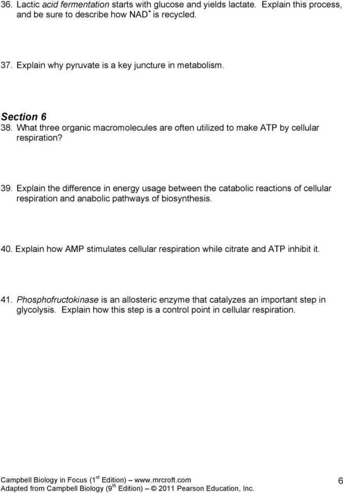 Chapter 7 Active Reading Guide Cellular Respiration And