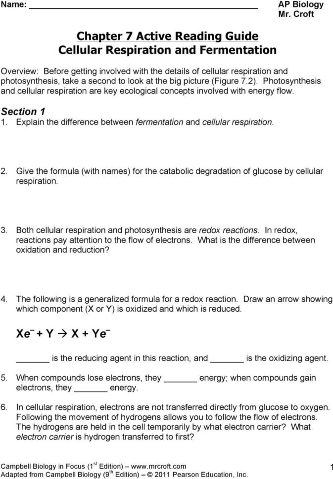 Chapter 7 Active Reading Guide Cellular Respiration And