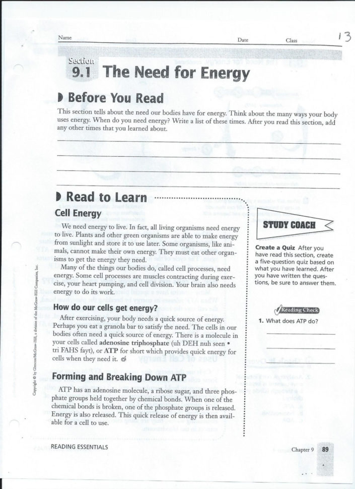 Chapter 7 Active Reading Worksheets Cellular Respiration