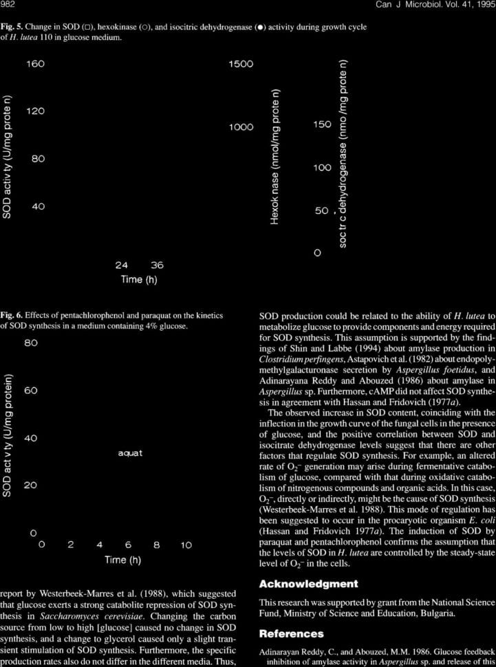 Chapter 7 Active Reading Worksheets Cellular Respiration