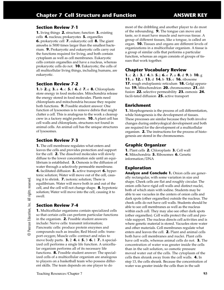 Chapter 7 Cell Structure And Function Answer Key