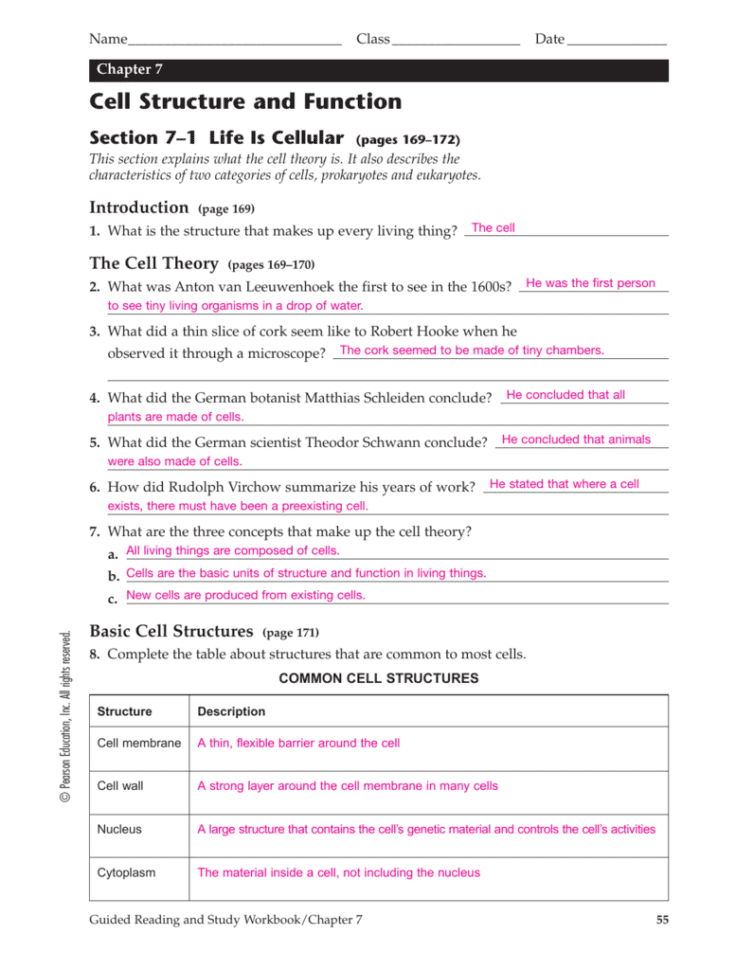 Chapter 7 Cell Structure And Function Te