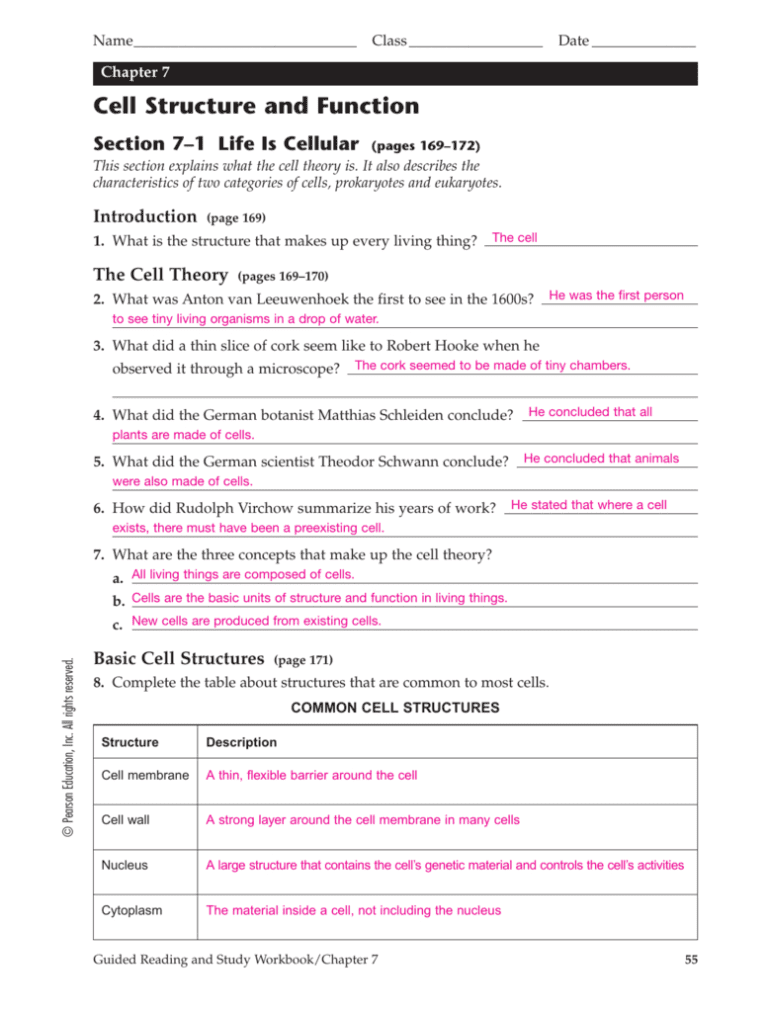 Cell Structure And Function Worksheet Answer Key Db excel