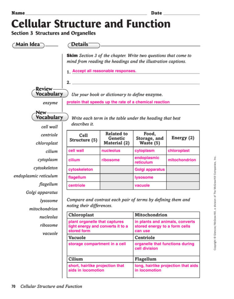 Chapter 7 Cell Structure And Function Worksheet Answer Key