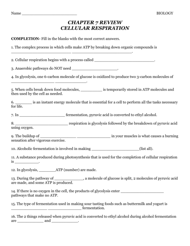 Chapter 7 Active Reading Worksheets Cellular Respiration Section 7 1