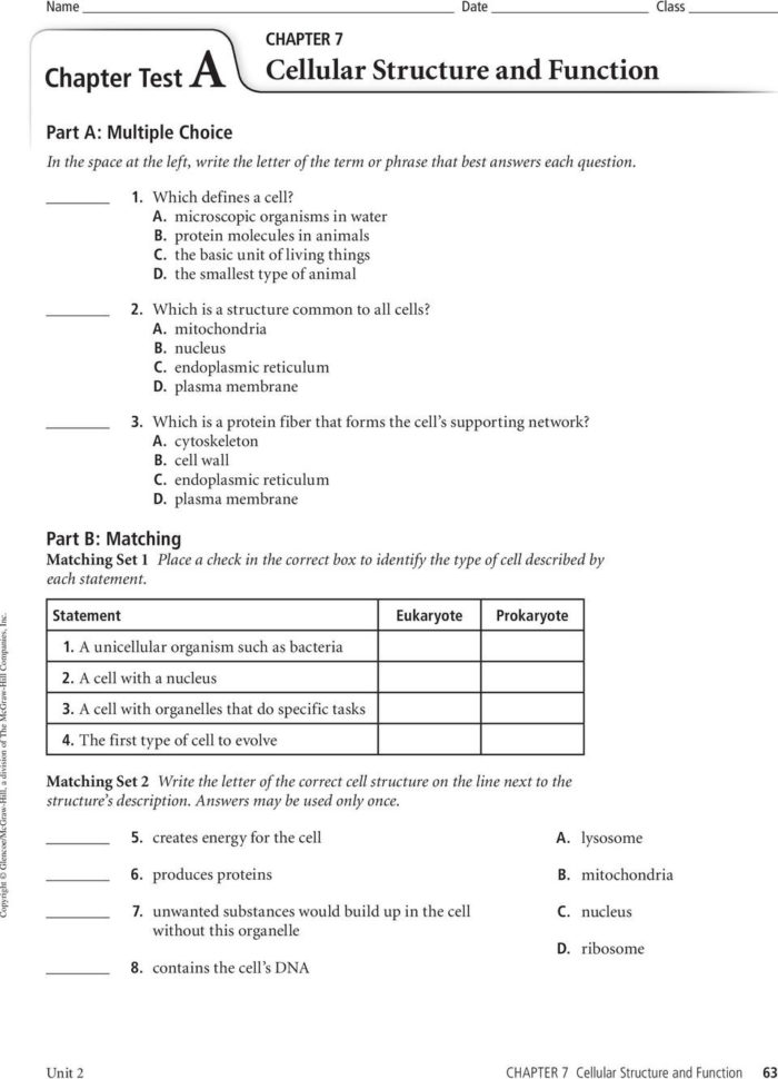 Chapter 7 Section 4 Cellular Transport Answer Key  Netvs
