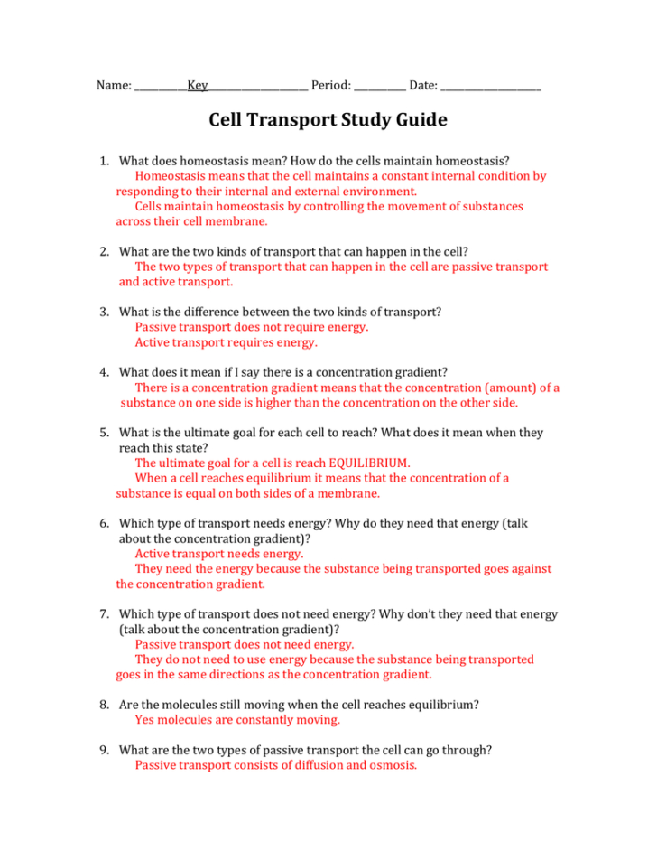 Chapter 7 Section 4 Cellular Transport Worksheet Answers — db-excel.com