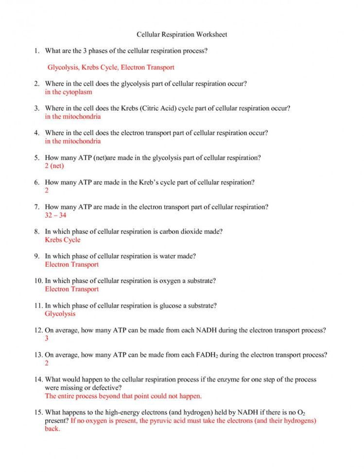 Chapter 7 Section 4 Cellular Transport Worksheet Answers