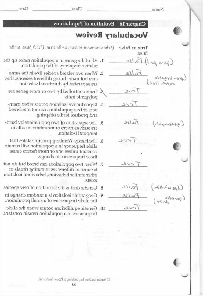 Chapter 7 Section 4 Cellular Transport Worksheet Answers
