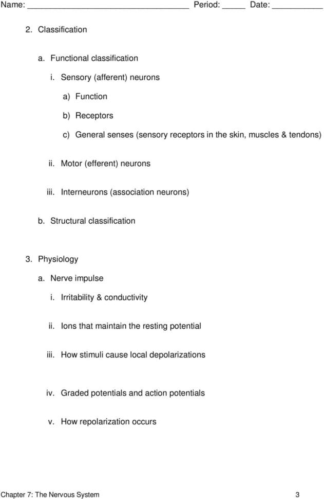 Chapter 7 The Nervous System  Pdf