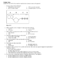 Chapter 8  9 Photosynthesis And Cellular Respiration Test