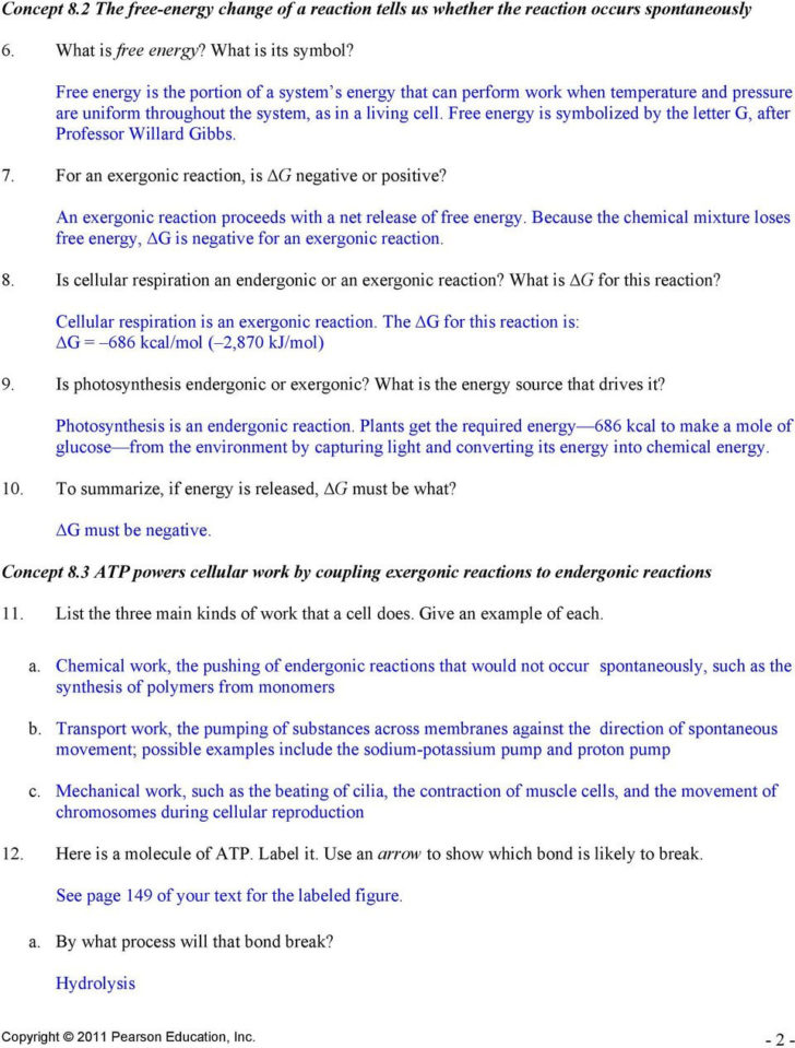 Chapter 9 Energy In A Cell Worksheet Answer Key — db-excel.com