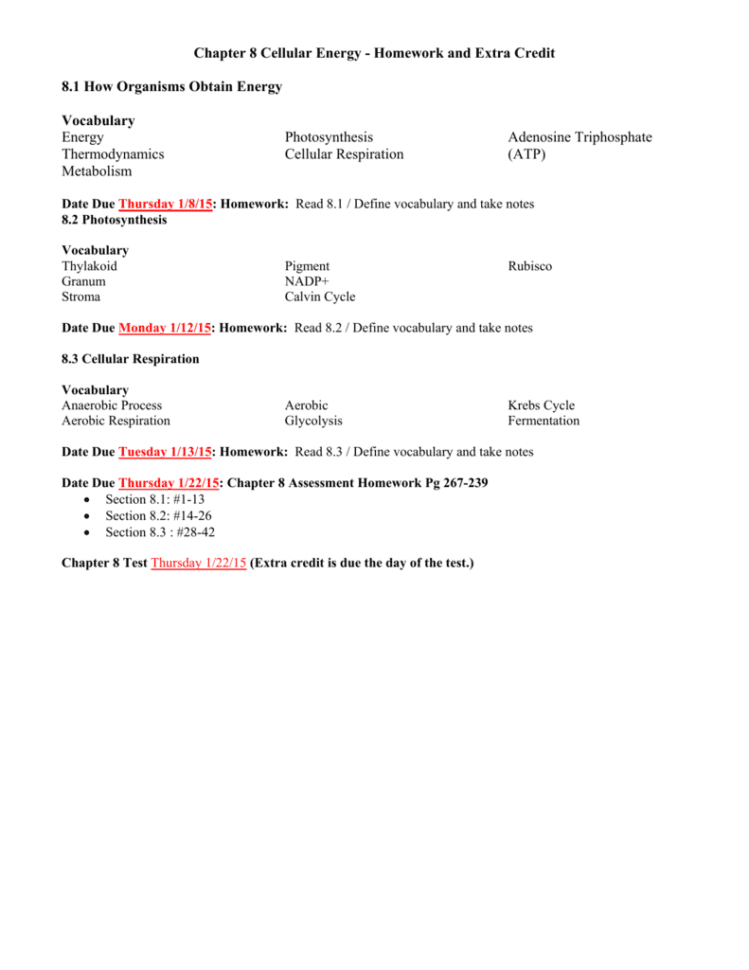 Chapter 8 Cellular Energy  Homework And Vocabulary Worksheet