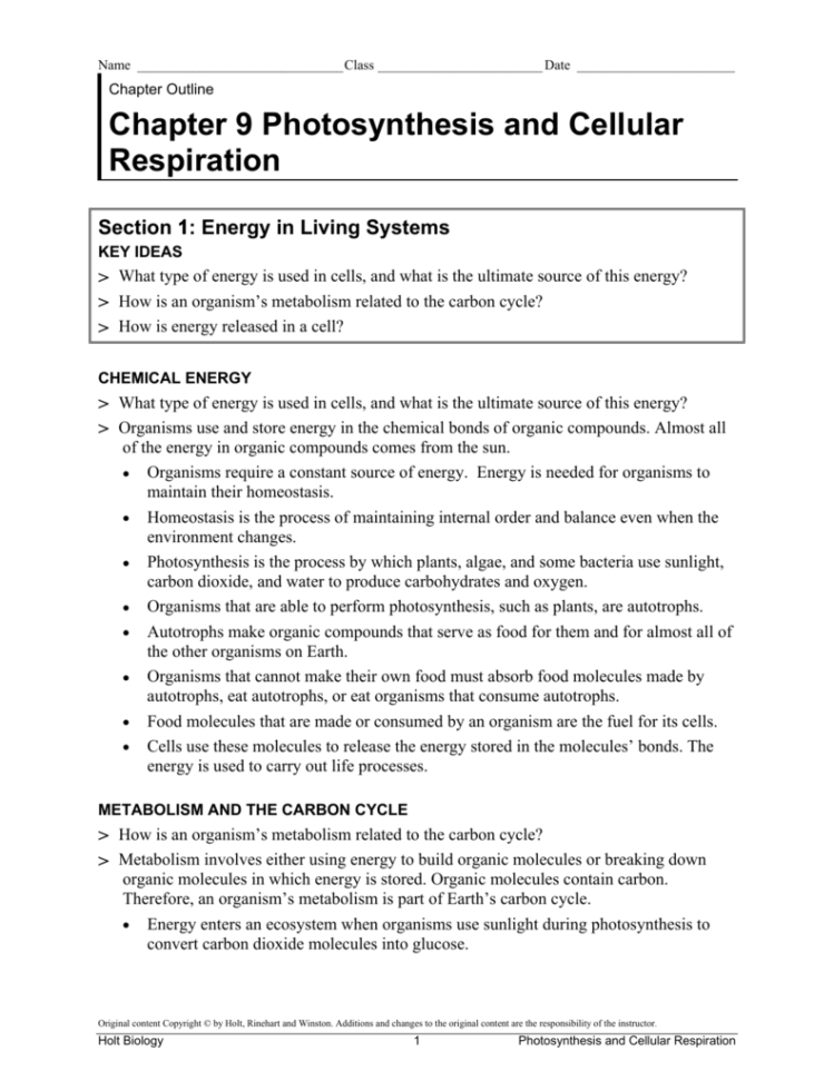 Chapter 9 Photosynthesis And Cellular Respiration